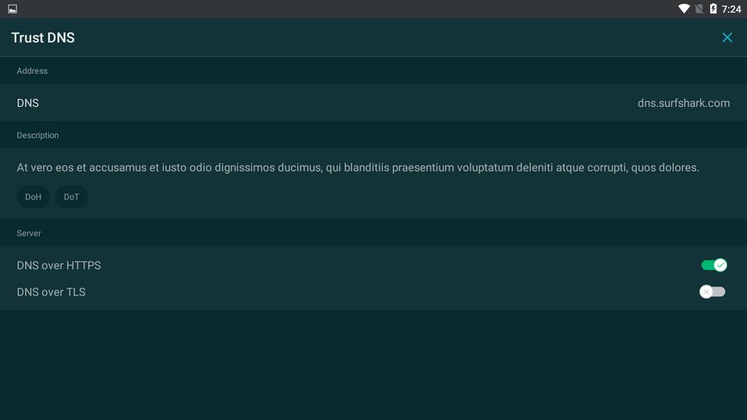 Trust DNS Ảnh chụp màn hình 3