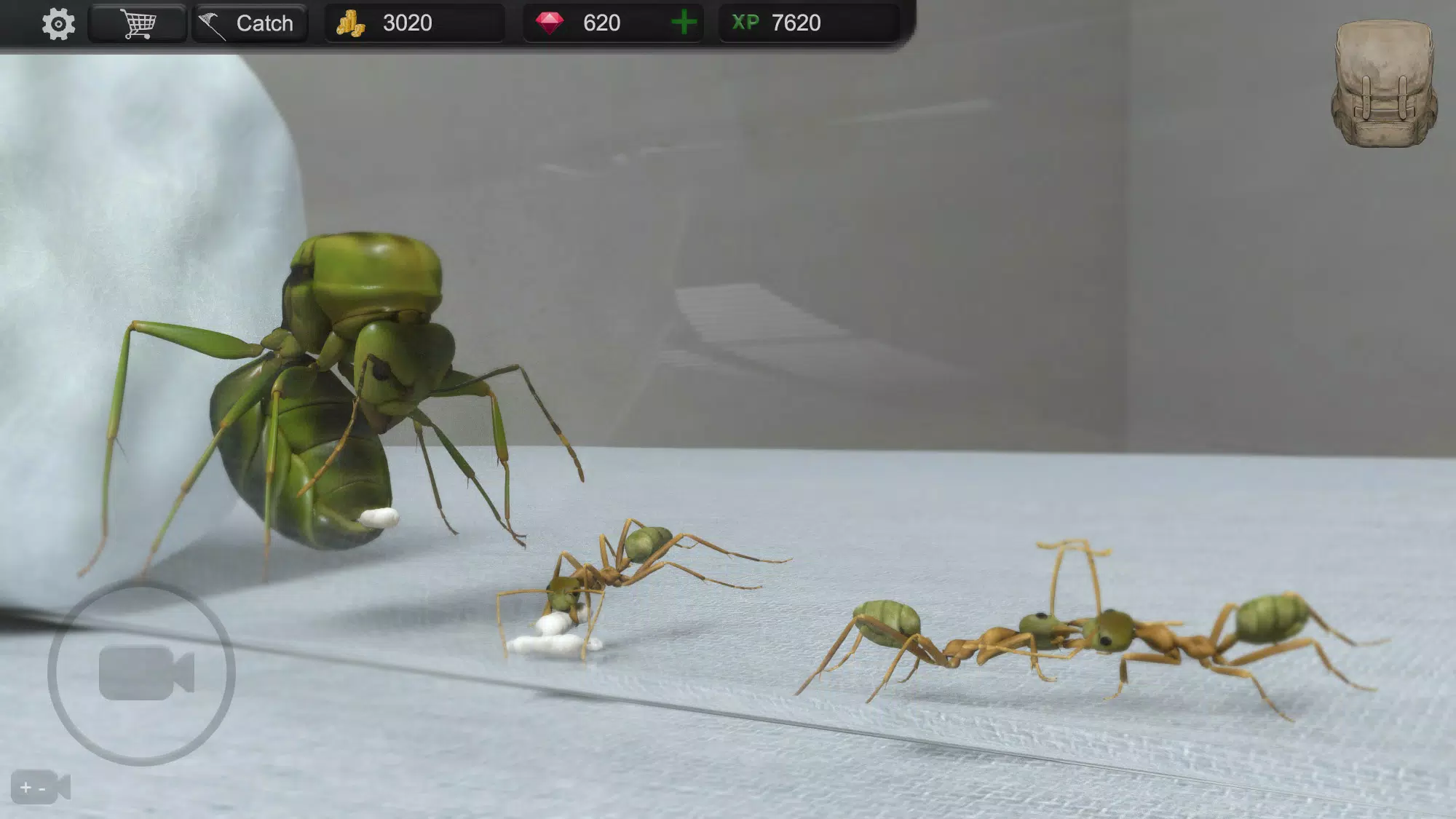 Ant Sim Tycoon 스크린샷 0