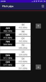 CarlTune - Chromatic Tuner Tangkapan skrin 2