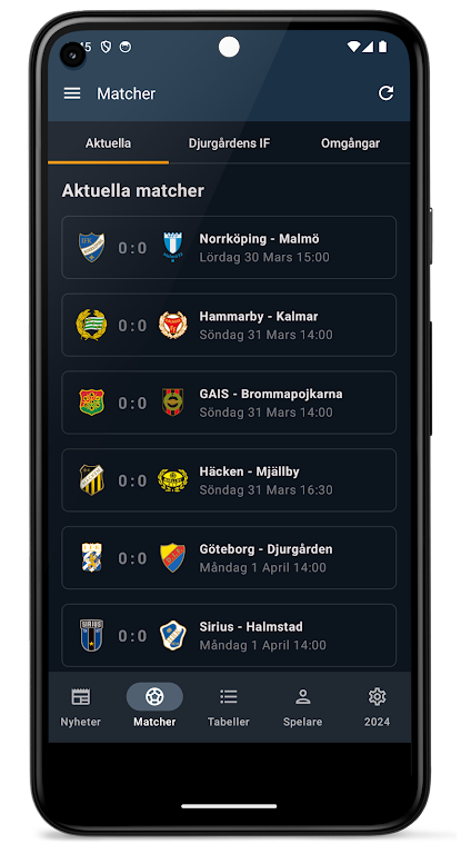 Allsvenskan 2024 ဖန်သားပြင်ဓာတ်ပုံ 3