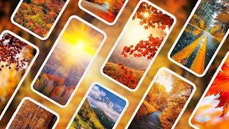 Autumn Wallpapers 4K Schermafbeelding 0