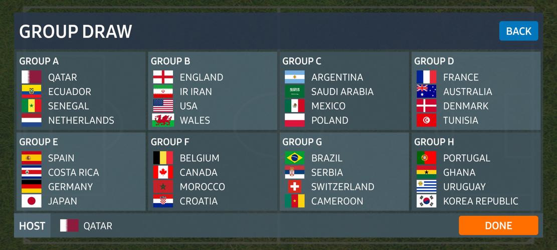World Football Simulator 螢幕截圖 1