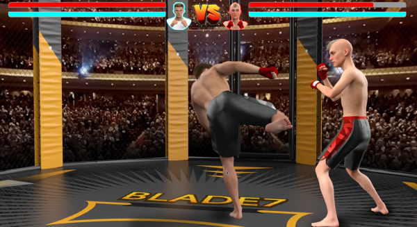 MMA Life Simulator - Nuova versione 0.1.4