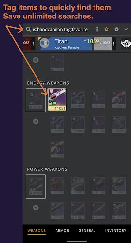 Destiny Item Manager Capture d'écran 1