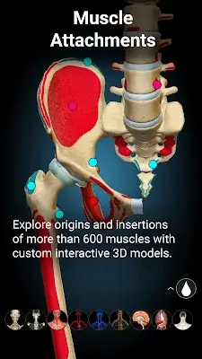 Anatomy Learning - 3D Anatomy Schermafbeelding 3