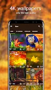 Autumn Wallpapers 4K Schermafbeelding 1