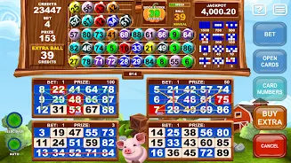 Video Bingo Little Farm Tangkapan skrin 0