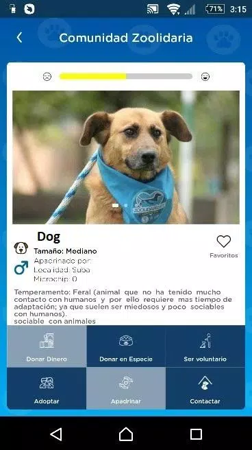 Schermata Distrito Appnimal 1