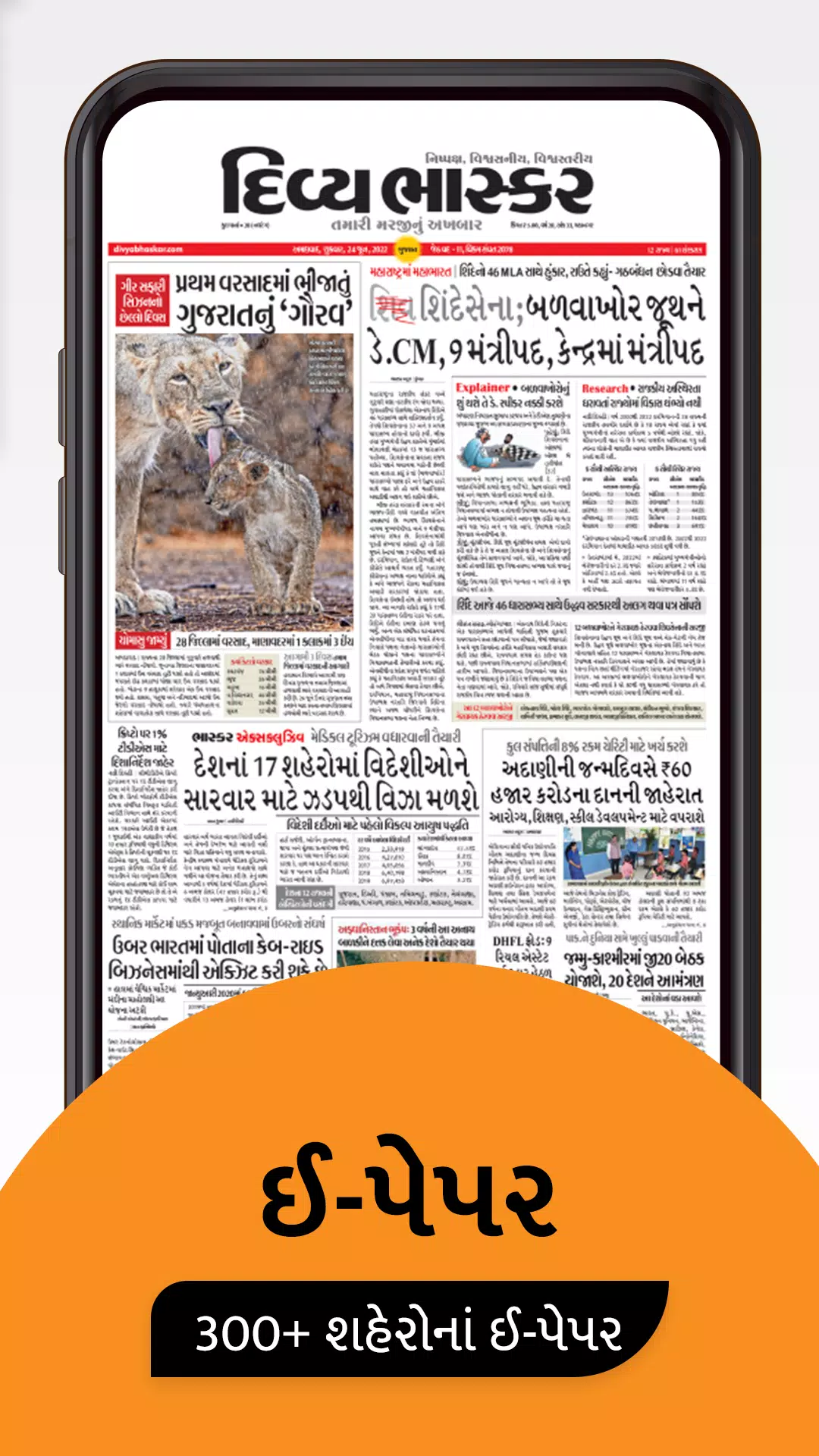 Schermata Divya Bhaskar 2