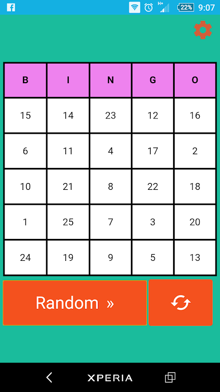 Bingo 2 player Zrzut ekranu 0