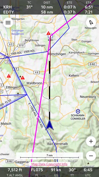 Enroute Flight Navigation Ekran Görüntüsü 0