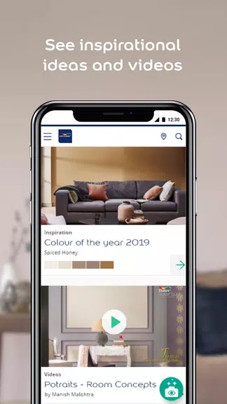 Dulux Visualizer PK Screenshot 3