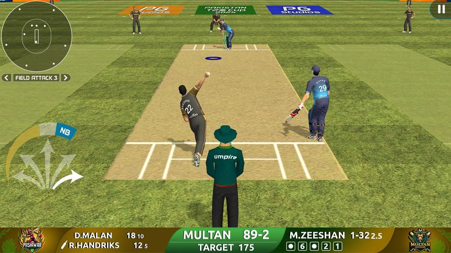 Cricket Game: Pakistan T20 Cup ภาพหน้าจอ 1