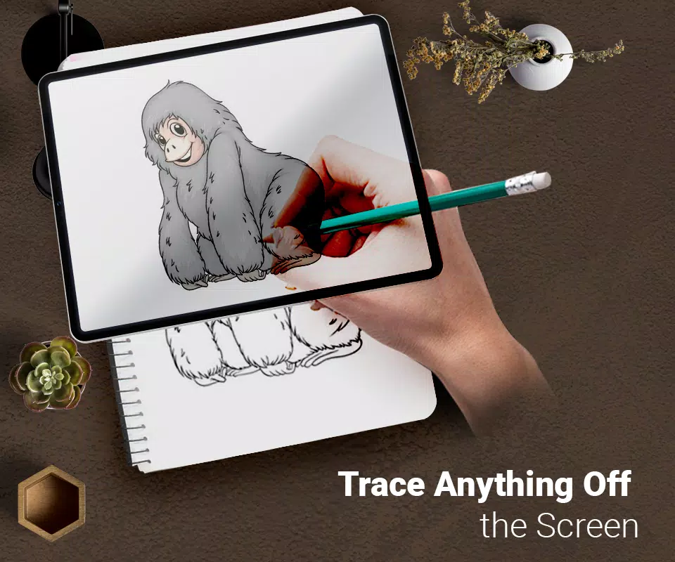Draw : Trace & Sketch ภาพหน้าจอ 0