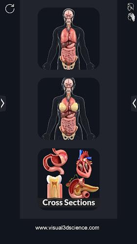 My Organs Anatomy Скриншот 0