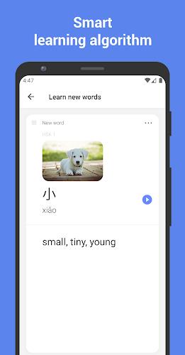 Learn Chinese with flashcards! Ảnh chụp màn hình 0