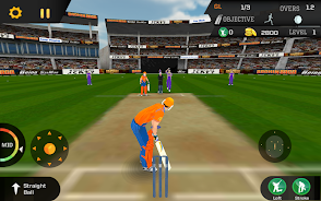 Schermata Cricket Unlimited 2017 2