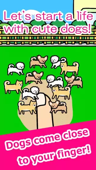 Play with Dogs - relaxing game Captura de pantalla 0