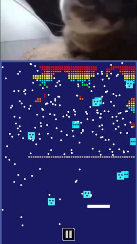Chipi Chapa: Brick Breaker Captura de pantalla 3