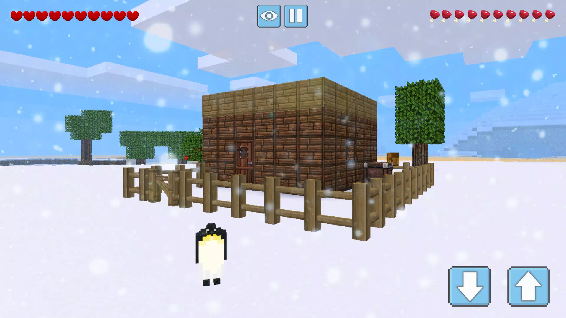 Schermata Winter Craft 2