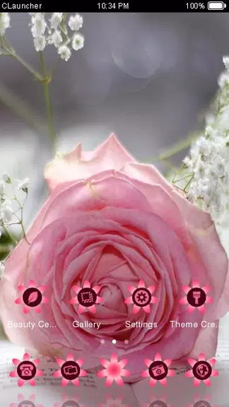 Pretty Pink Rose Theme ဖန်သားပြင်ဓာတ်ပုံ 2