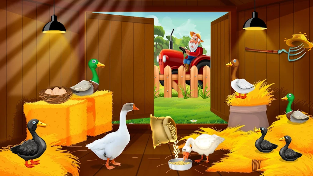 Duck Farm Eggs Chicken Poultry Captura de tela 3