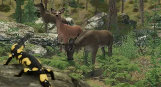 VR ZOO Safari Park Animal Game Screenshot 1