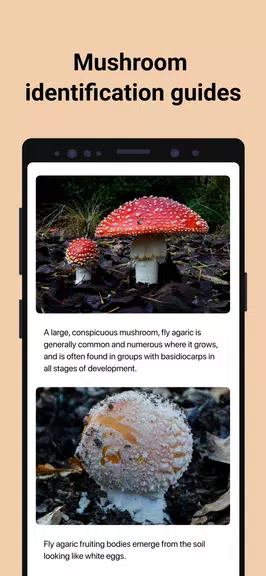 Picture Mushroom - 蘑菇鑑定和採摘指南应用截图第3张