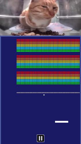 Chipi Chapa: Brick Breaker Captura de pantalla 2