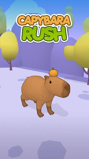 Capybara Rush Ảnh chụp màn hình 0