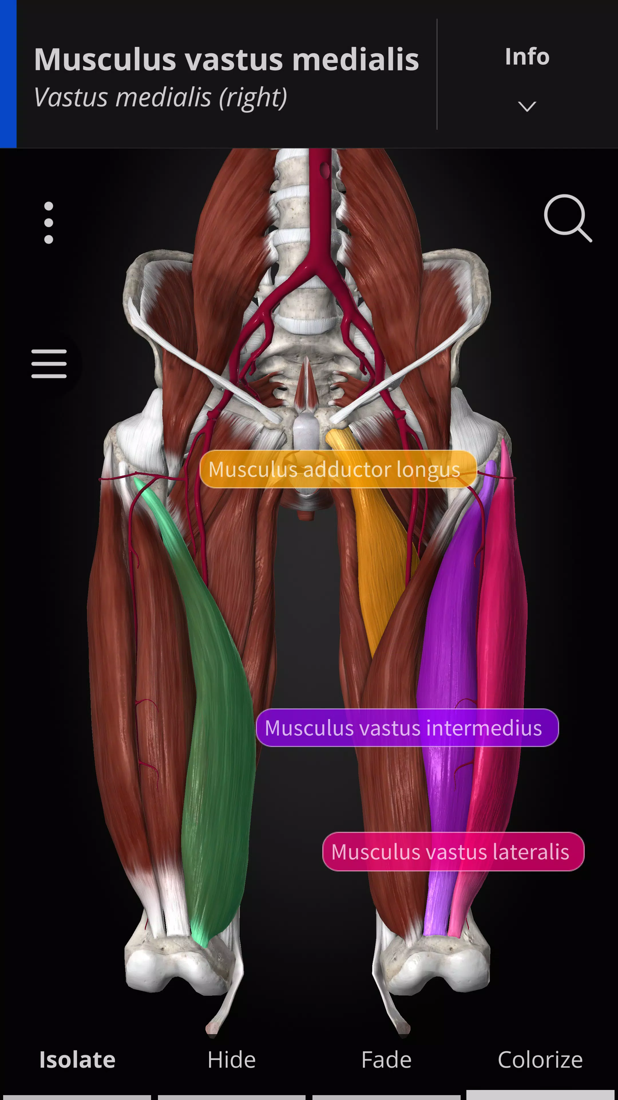 Anatomyka - 3D Anatomy Atlas स्क्रीनशॉट 1