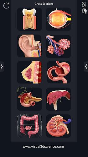 My Organs Anatomy Скриншот 1