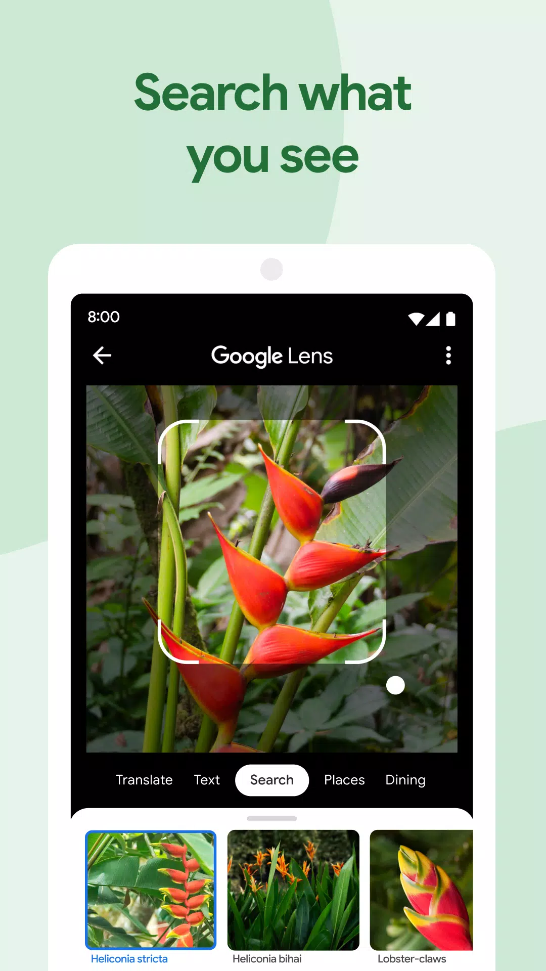 Google Photos Ảnh chụp màn hình 2