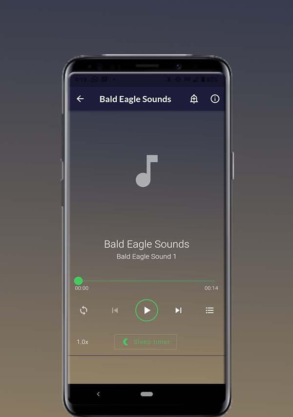 Bald Eagle Sounds Скриншот 1