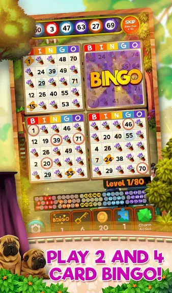 Bingo Pets Party: Dog Days应用截图第0张