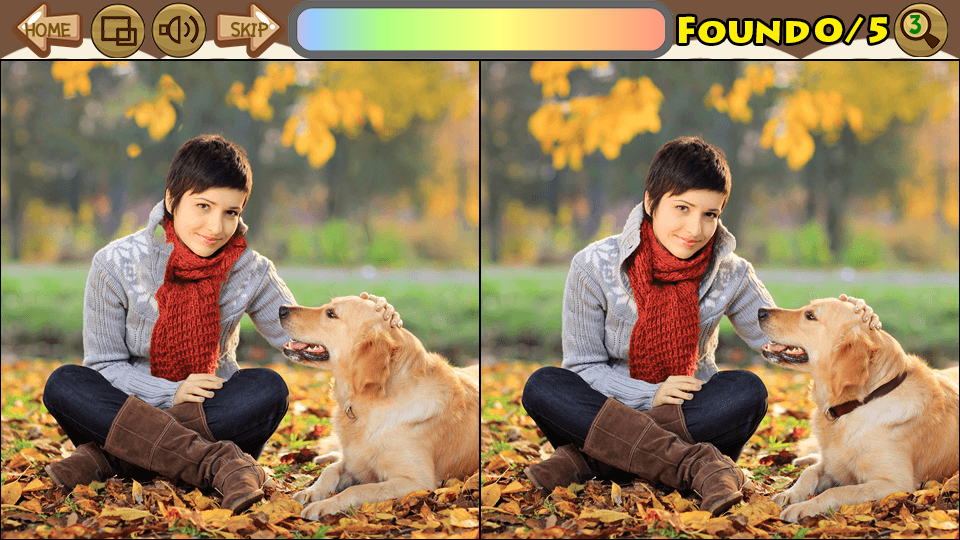 Find Differences 34应用截图第2张