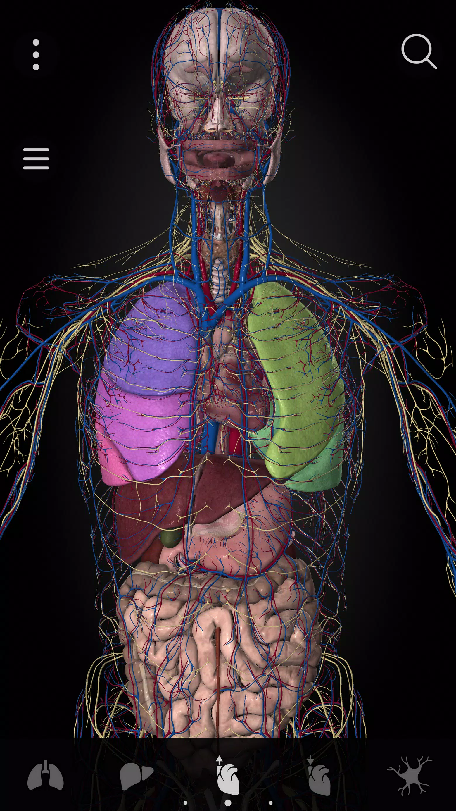 Anatomyka - 3D Anatomy Atlas ภาพหน้าจอ 2