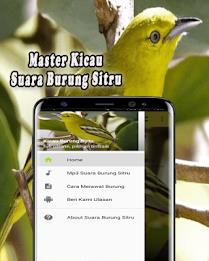 Suara Burung Sirtu Pikat MP3 Offline 螢幕截圖 0