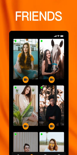 Bunny Hub Zrzut ekranu 1