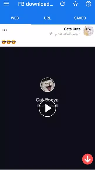 Facvid: Reels video downloader Tangkapan skrin 0