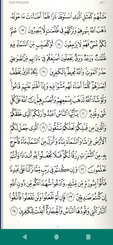 Leer Escuchar Quran قرآن كريم Screenshot 1