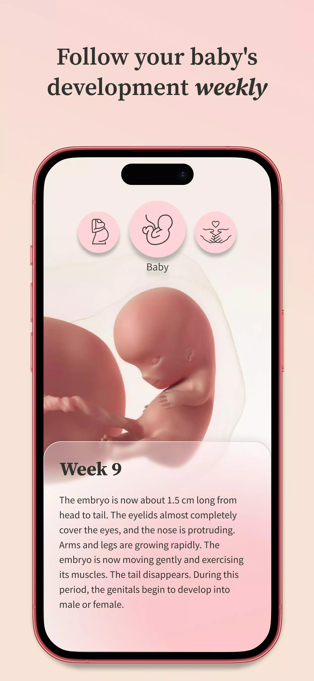 Preglife ภาพหน้าจอ 2