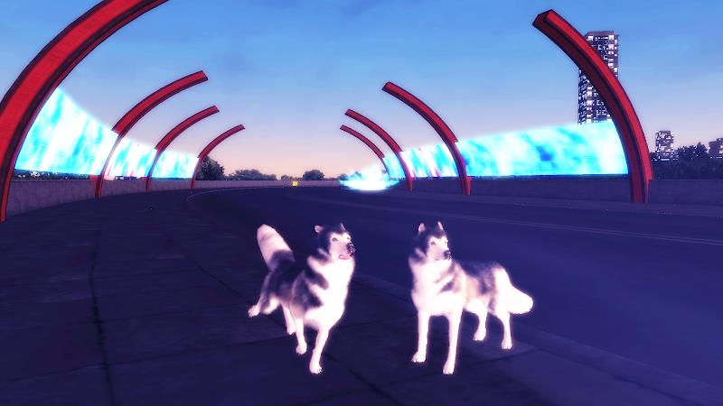 Husky Simulator ဖန်သားပြင်ဓာတ်ပုံ 1