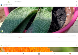 PlantNet Plant Identification Screenshot 2