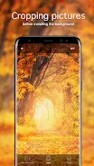 Autumn Wallpapers 4K Schermafbeelding 3