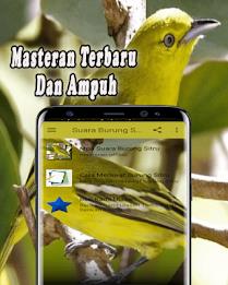 Suara Burung Sirtu Pikat MP3 Offline 螢幕截圖 1