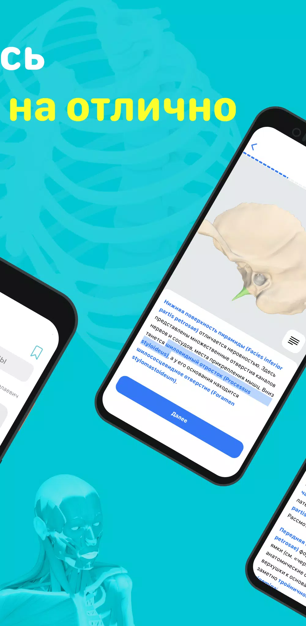 Учи Мед (Учи Анат) Captura de tela 1