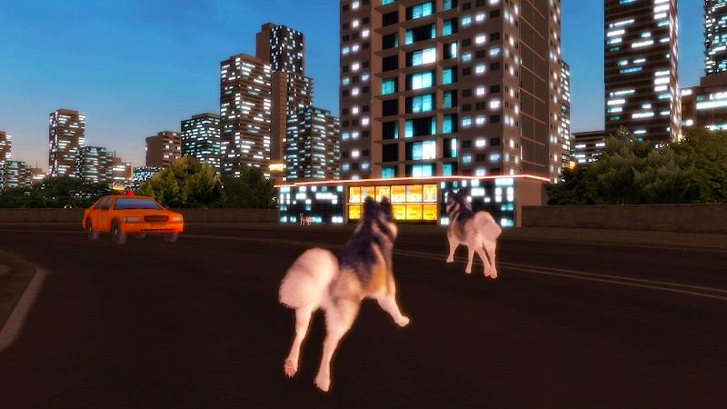 Husky Simulator Screenshot 2