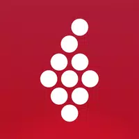 Vivino:le Vin à portée de main