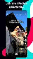 TikTok USA ภาพหน้าจอ 3